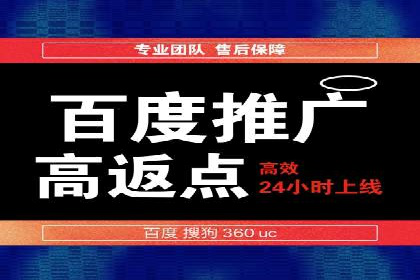 竞价代运营的案例研究：如何精准投放广告并获得回报